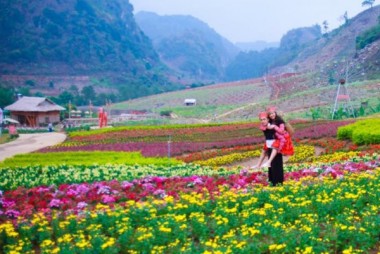 Khu du lịch Mộc Châu Happy Land