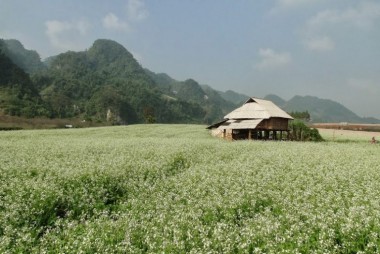 8 Homestay đẹp ở Mộc Châu cho chuyến du lịch mùa xuân