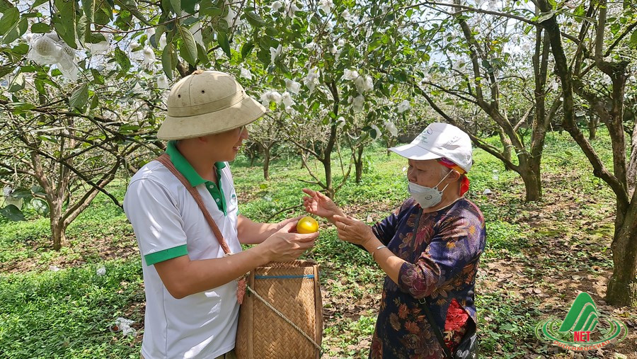 ảnh hồng giòn (58) (Copy)