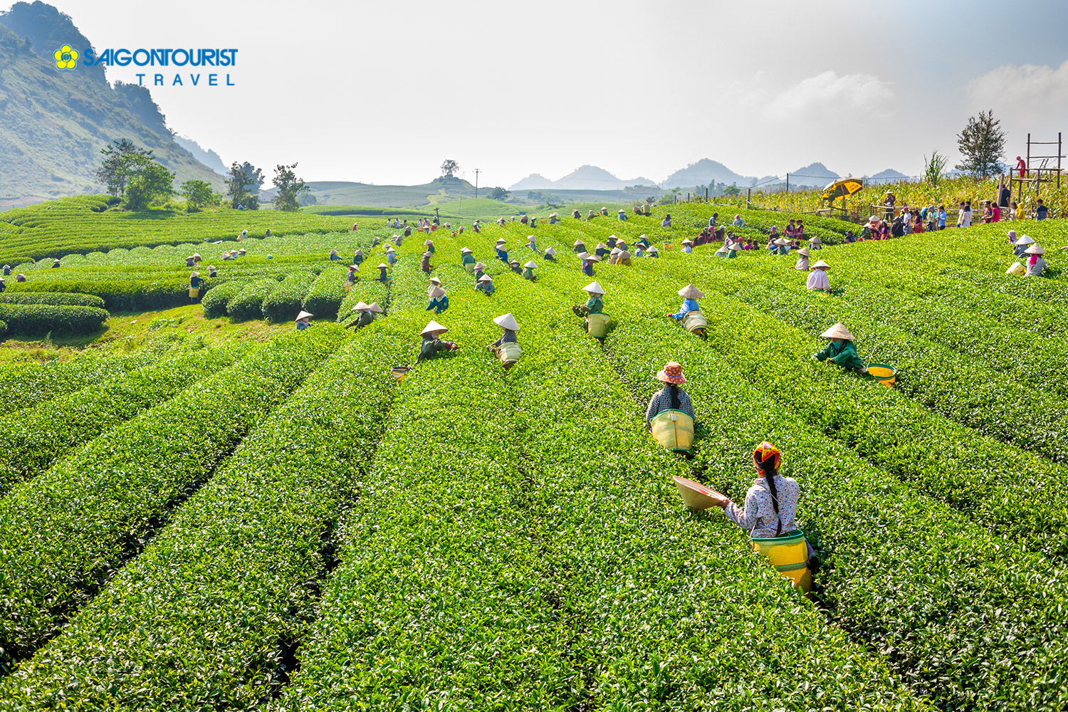 Du lịch Mộc Châu - Sơn La - Điện Biên - Lai Châu -Lào Cai - Đền Hùng (Tết Dương Lịch 2020)